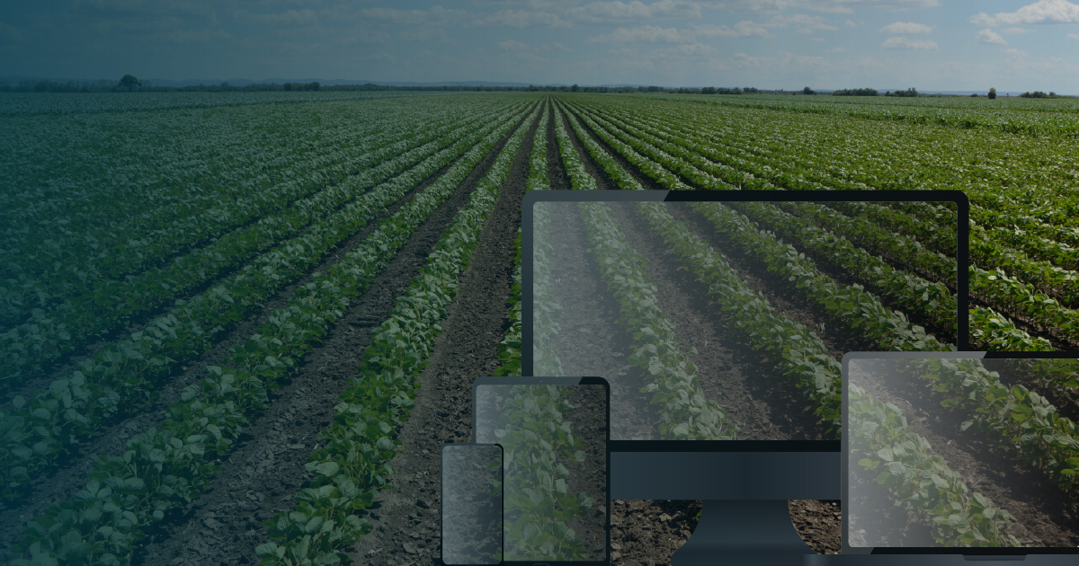 Planting for Growth: Why Diversifying Your Ad Strategy Matters